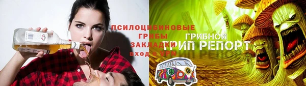 прущий лед Белокуриха